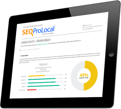 SEO ProLocal for Local SEO for Local Business